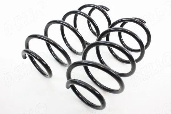 Suspension Spring (110164010)