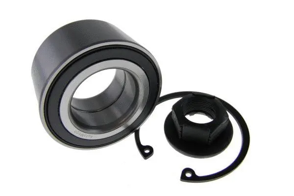 Wheel Bearing Kit (110010310)