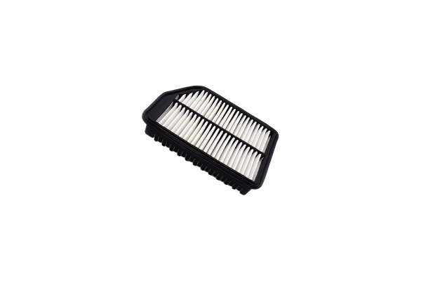 Air Filter (250052510)