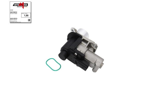 EGR Valve (250720810)