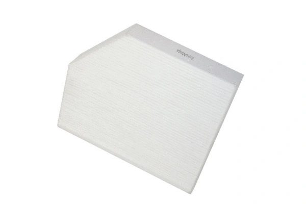 Filter, cabin air (180053010)