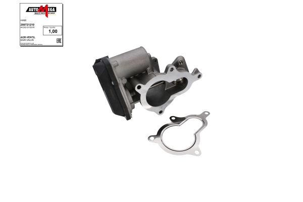 EGR Valve (250721210)