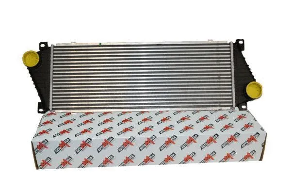 Charge Air Cooler (160060410)