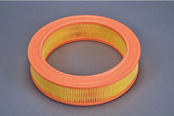 Air Filter (180019110)