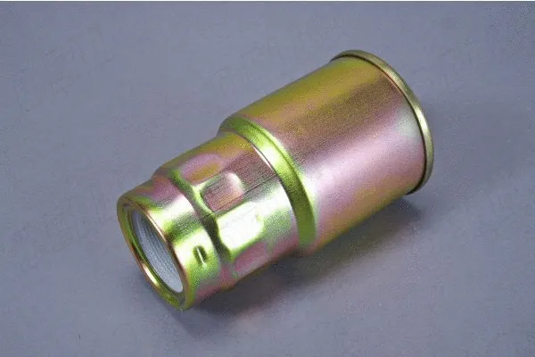 Fuel Filter (180061110)