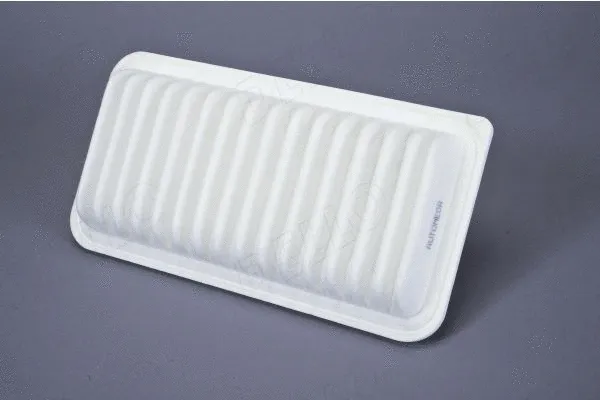 Air Filter (180072710)