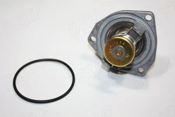 Thermostat, coolant (160100010)