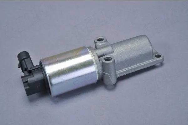 EGR Valve (213172310)