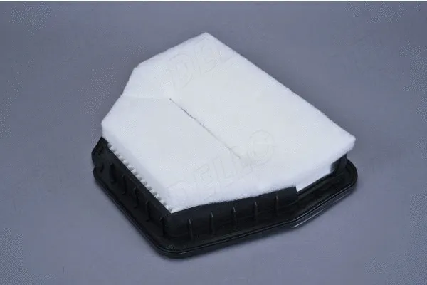 Air Filter (210075910)