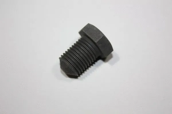 Screw Plug, oil sump (130016310)