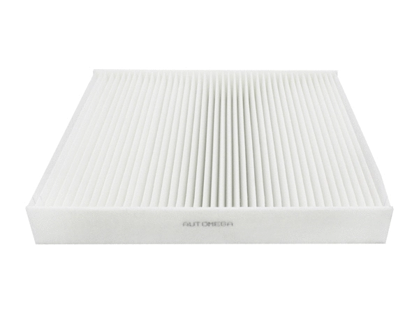 Filter, cabin air (180050810)