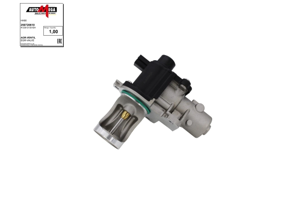 EGR Valve (250720610)