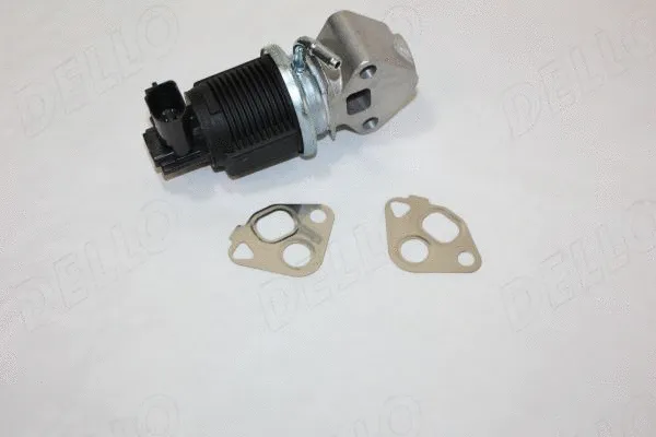 EGR Valve (140010810)