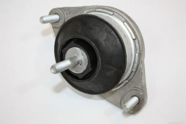 Mounting, engine (130029610)