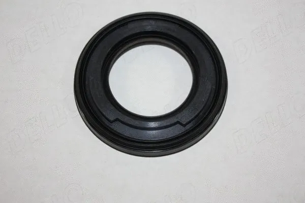 Shaft Seal, crankshaft (190011210)