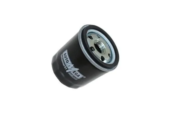 Oil Filter (180036310)