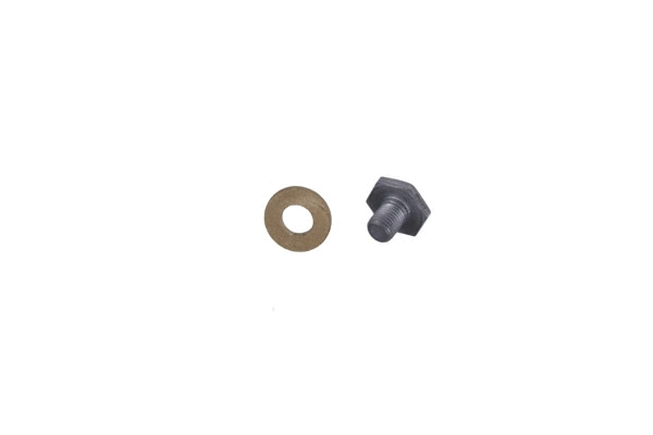 Screw Plug, oil sump (130013210)