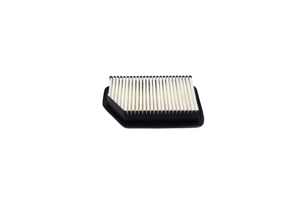 Air Filter (250051910)