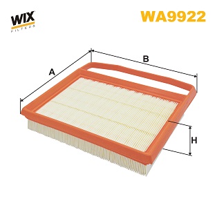 Air Filter (WA9922)