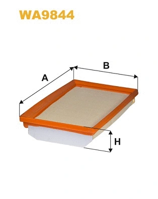 Air Filter (WA9844)