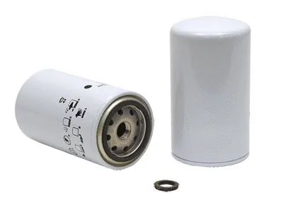 Fuel Filter (33956)