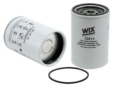Fuel Filter (33813)