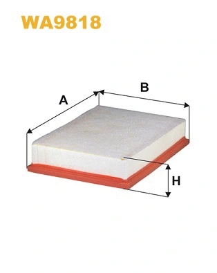 Air Filter (WA9818)