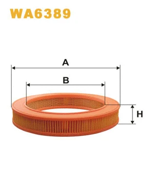 Air Filter (WA6389)