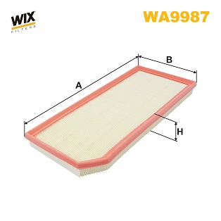 Air Filter (WA9987)