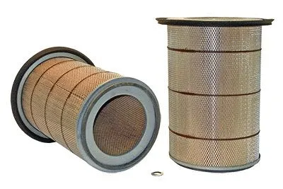 Air Filter (42377)