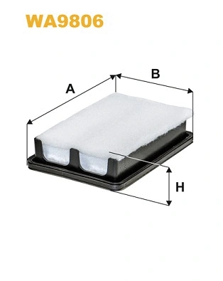 Air Filter (WA9806)