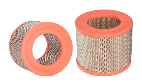 Air Filter (42811)