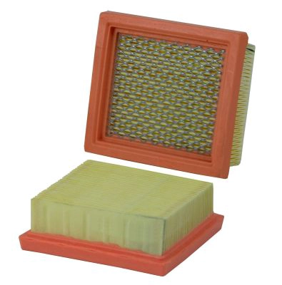Air Filter (42445)