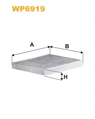 Filter, cabin air (WP6919)