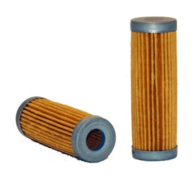 Fuel Filter (33389)