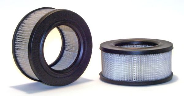 Air Filter (42135)