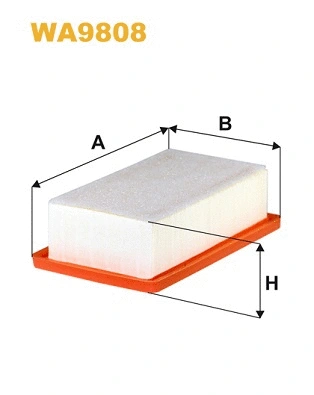 Air Filter (WA9808)