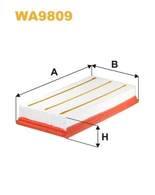 Air Filter (WA9809)