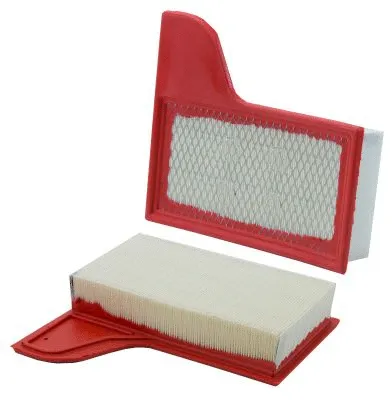 Air Filter (WA10315)