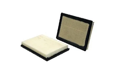 Air Filter (42843)
