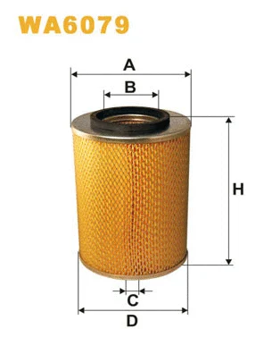 Air Filter (WA6079)