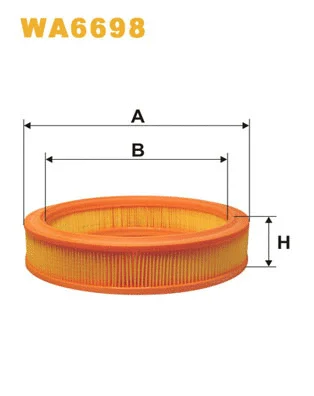 Air Filter (WA6698)