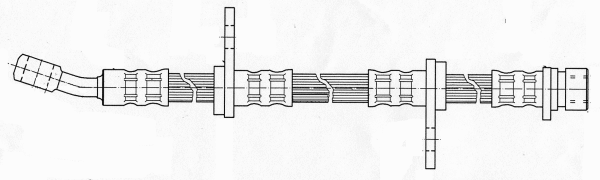 Brake Hose (510900)