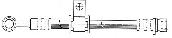 Brake Hose (510493)