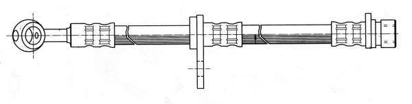 Brake Hose (510888)