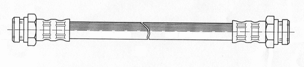 Brake Hose (510667)