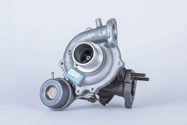 Charger, charging (supercharged/turbocharged) (54399880093)