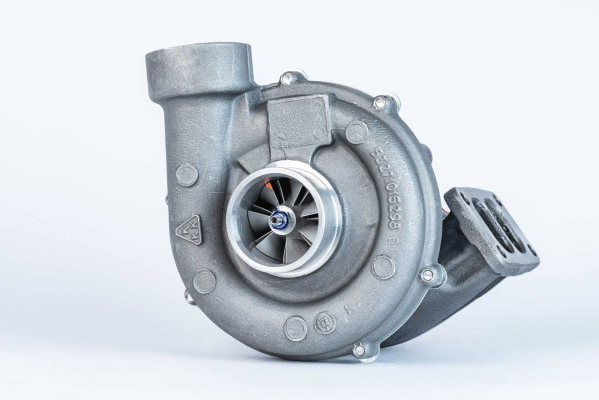 Charger, charging (supercharged/turbocharged) (53279886507)