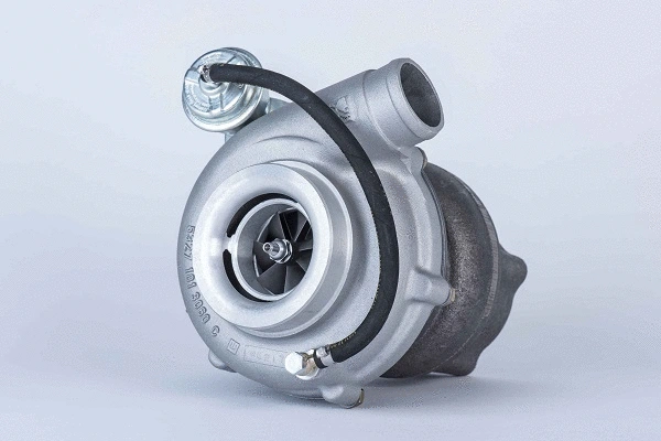 Charger, charging (supercharged/turbocharged) (53279887123)