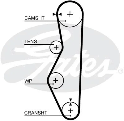 Timing Belt (5521XS)